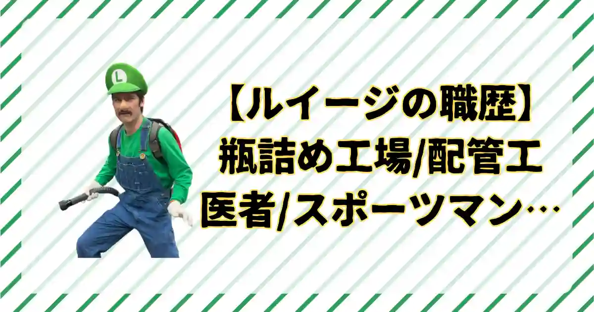 ルイージの仕事、職歴、職業